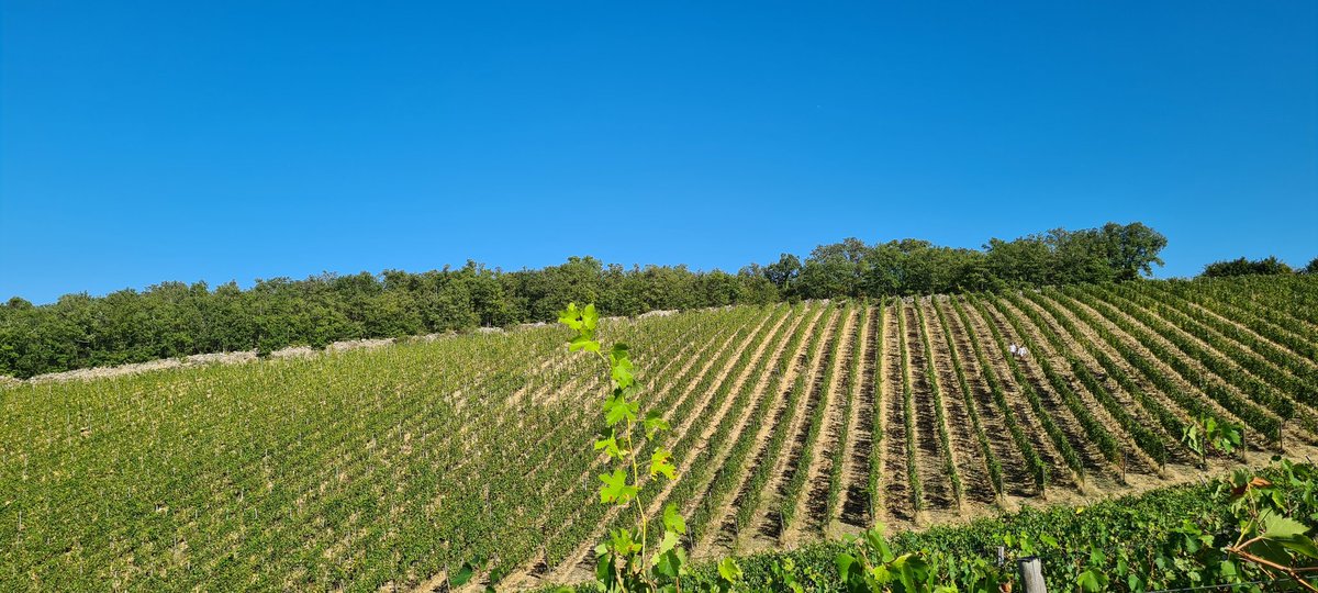CNR TechAgriculture tweet media