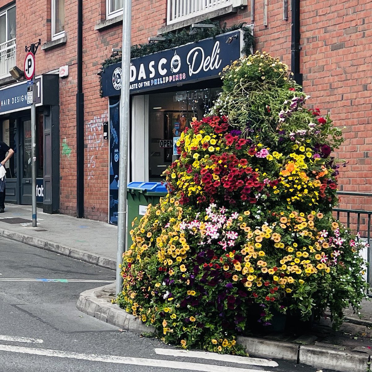 Just spotted on High St. The flowers add a well deserved splash of colour to the area. Well done <a href="/LimerickCouncil/">Limerick Council - Comhairle Luimnigh</a> I’m sure the traders are delighted <a href="/HighStLimk/">High Street Hospitality</a>