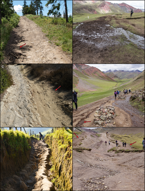 GIS_Geomorpho's tweet photo. 1/5 Drones and recreational trails: Our new study led by Aleksandra Tomczyk has been just published in the International Journal of Applied Earth Observation and Geoinformation: https://t.co/R3V7j8aSKx #recreationEcology #UAV #GIS https://t.co/C17tOJWER8