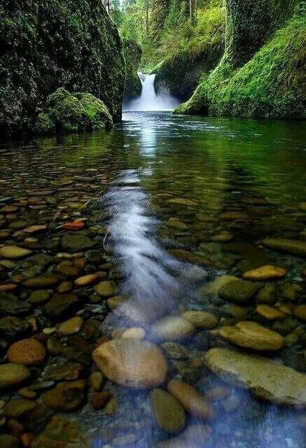 Happy afternoon ☀️🌾🌼🌾🥀🌾💖