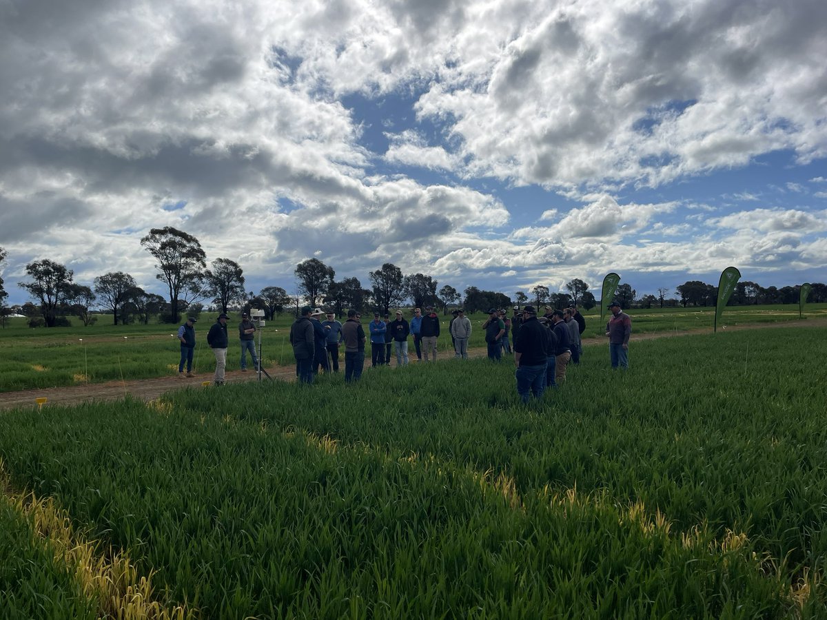 Jade Clark tweet media