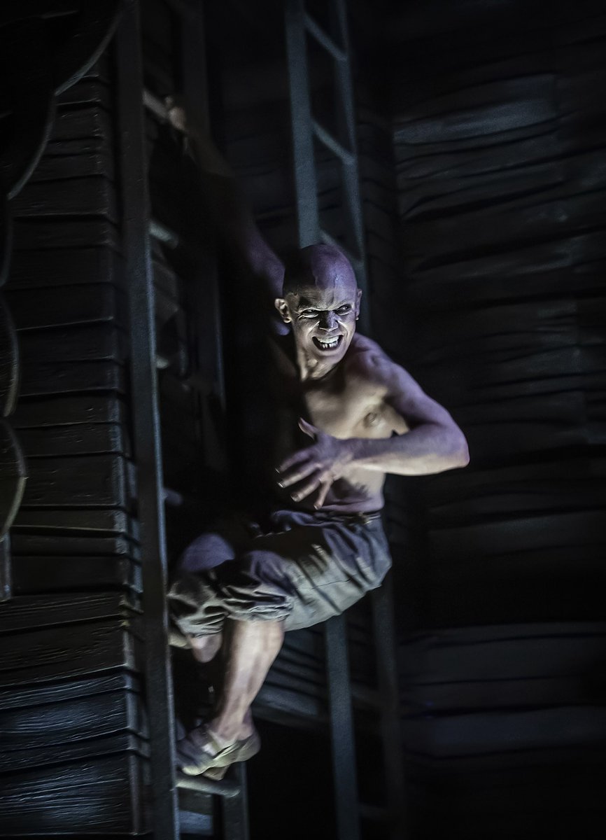 Rory Beaton tweet media