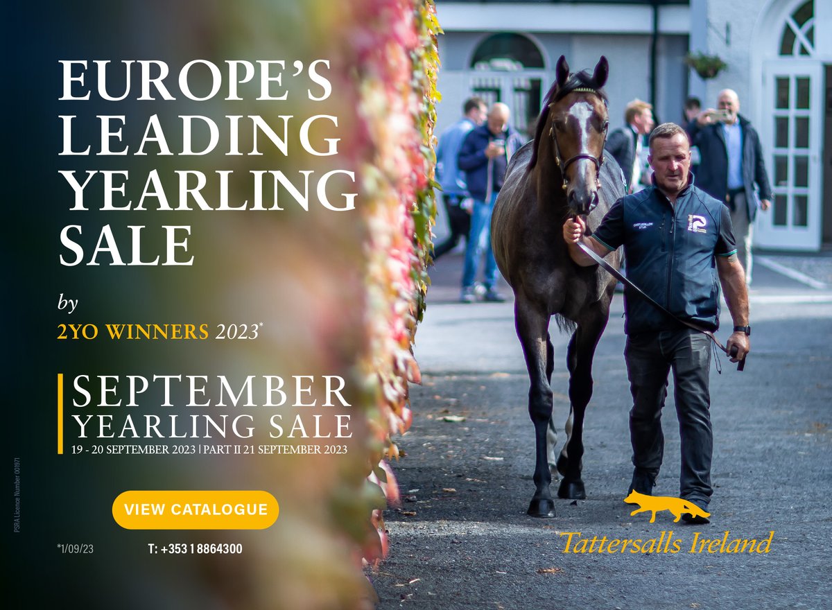 🦊 Europe's Leading Yearling Sale by 2yo Winners 2023*

🗓️ September Yearling Sale, 19th - 20th September 2023 | Part II, September 21st 2023

👀 View the catalogue online at 👉 tattersalls.ie
