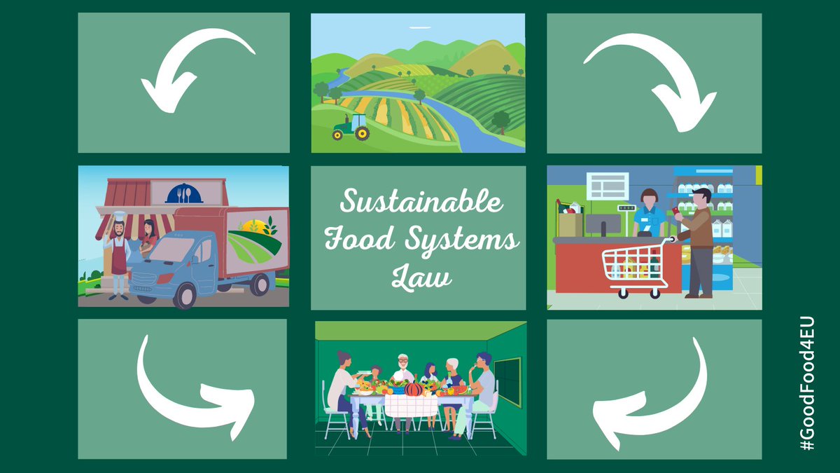 📍#IDF Europe supports the need for a Sustainable #FoodSystems law which enables a transition ensuring: ☑️ a systemic approach ☑️ robust governance ☑️ enabling #FoodEnvironments ☑️ real accountability Read more here: bit.ly/3PqbqwN #GoodFood4EU #EUFarm2Fork