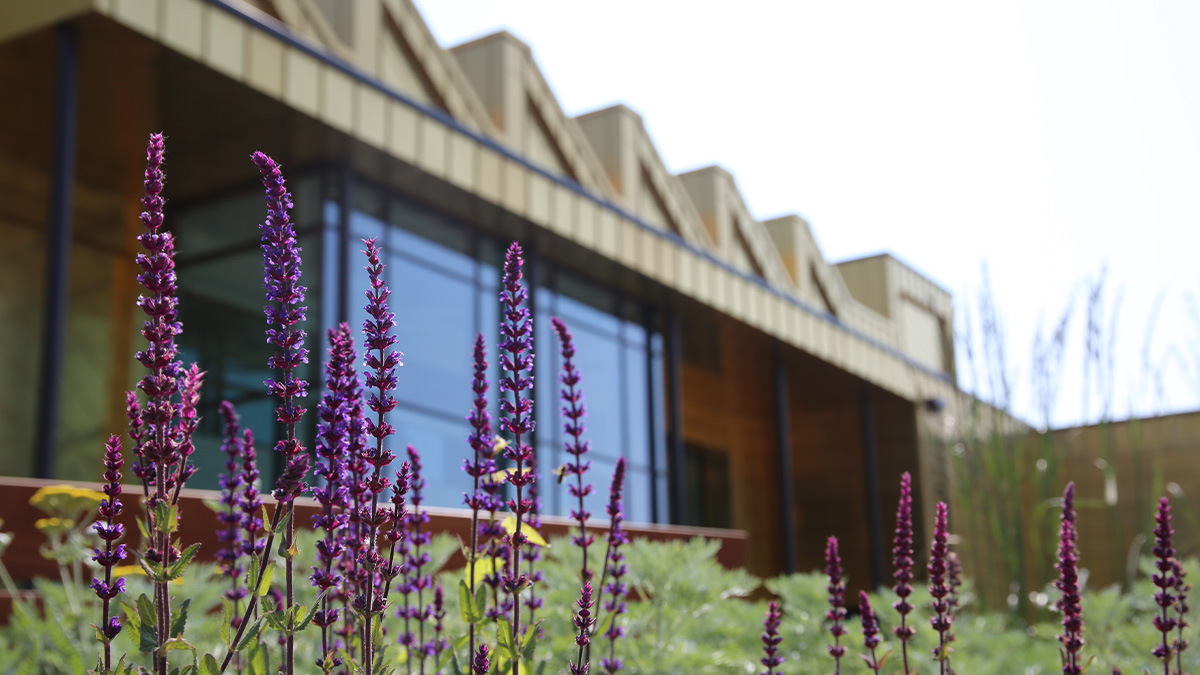 worcester_uni's tweet image. This week, we are thrilled to welcome our first cohort of medical students! 👋 💙
@tcms_worc #WorcesterUni #TeamWorc