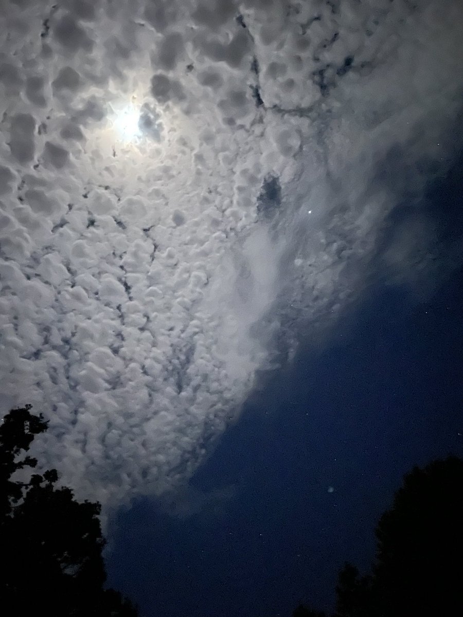 AJDesignCo's tweet photo. iPhone cameras never cease to amaze me. TBH, the same is true of larger cameras too 🤷‍♂️ https://t.co/OqmhoPPLgw