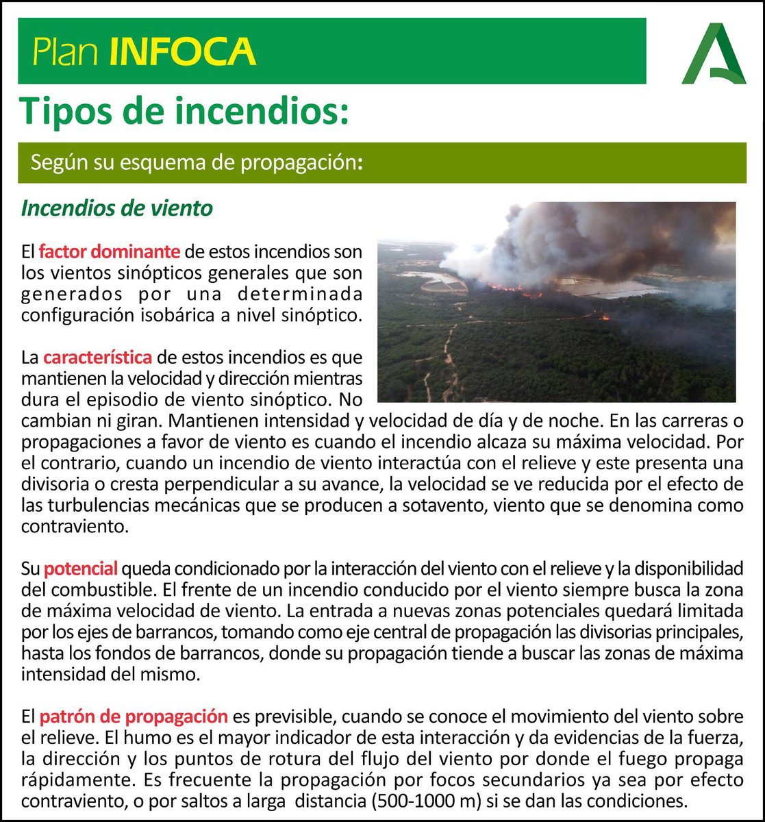Plan_INFOCA's tweet photo. 👨🏻🎓 DIVULGACIÓN | #IncendiosForestales ¿qué sabes de su factor dominante, de sus características, de su forma de propagación? Te hemos contado los tipos de #IIIFF que hay por su tamaño, o según por dónde propagan. Ahora, te los diferenciamos por su patrón de propagación… https://t.co/2GhYhIVRxp
