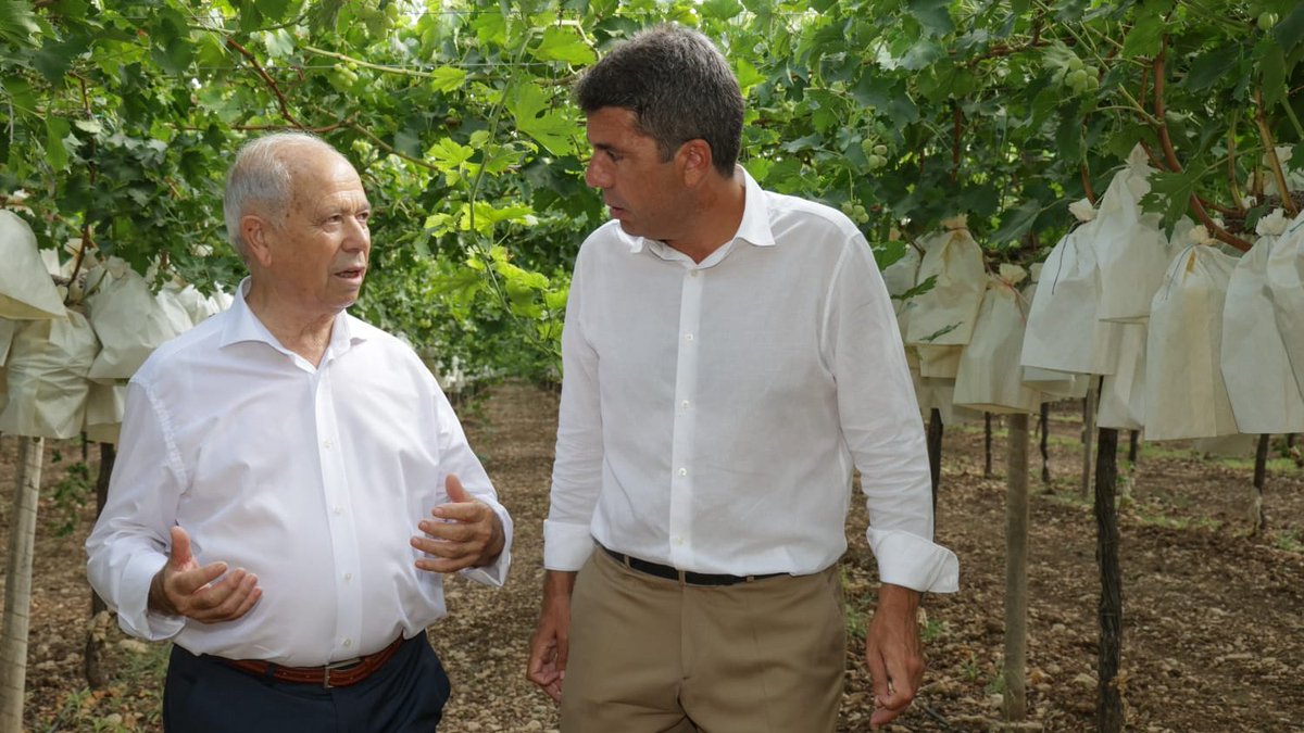 🍇✂ @carlos_mazon_ participa en el corte del primer racimo de ‘Uva de Mesa Embolsada del Vinalopó’

👥 Asiste el conseller de <a href="/GVAagricultura/">GVA Agricultura, Agua, Ganadería y Pesca</a>, <a href="/AguirreLarrauri/">José Luis Aguirre</a>