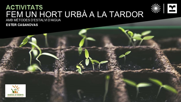 🌱Taller 'Fem un hort urbà a la tardor amb mètodes d'estalvi d'aigua'
A càrrec d’Ester Casanovas <a href="/picaronablog/">Ester Casanovas</a> 

📅 Dijous, 21 i 28 de setembre a les 18.00h

Inscripcions obertes!: tuit.cat/s2nh2

#SantAndreuAmbiental @miraenverd
