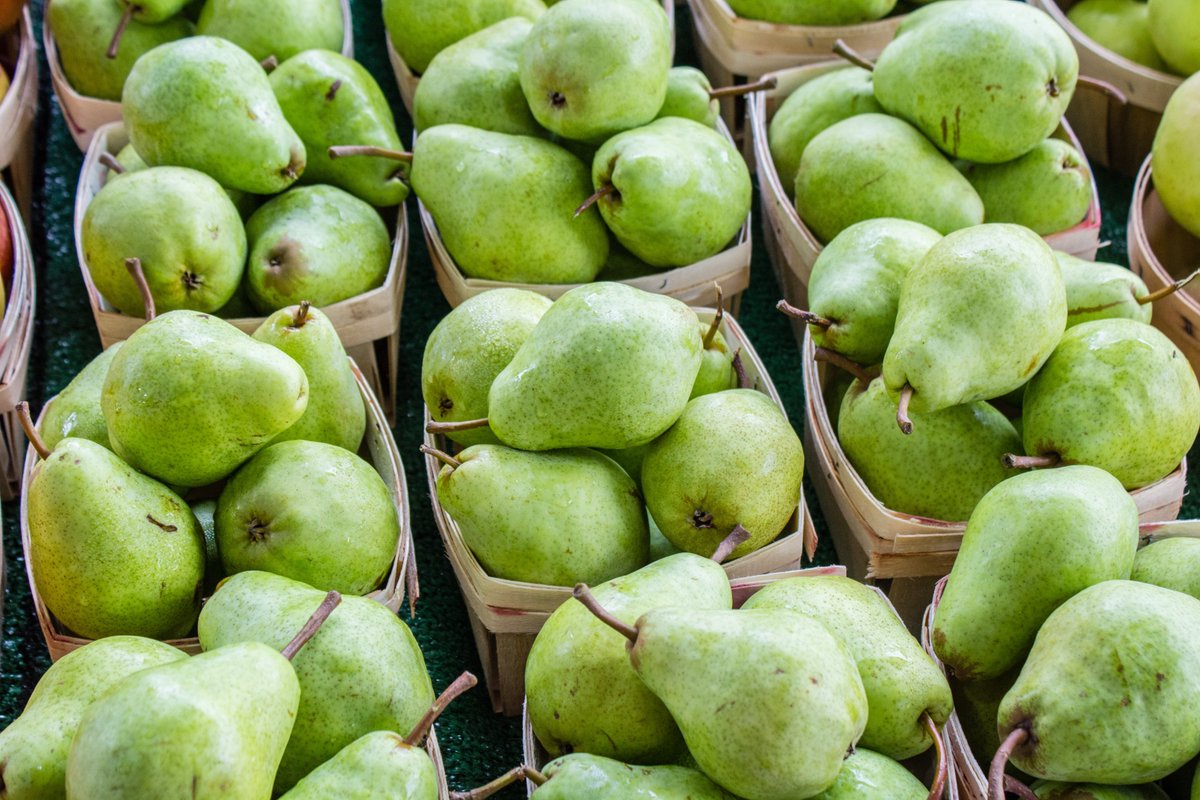 🍐 Pears are not only juicy and delicious but also a great source of fiber and vitamin C! 🍐 #Pears #FiberRich #VitaminC #HealthyFruit #JuicyPears