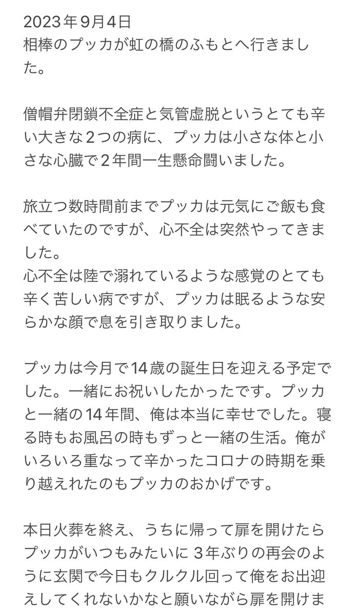 Butagorian's tweet image. 皆さん読んでいただけたら嬉しいです。今までありがとうございました。
俺もプッカも世界一の幸せ者でした。
