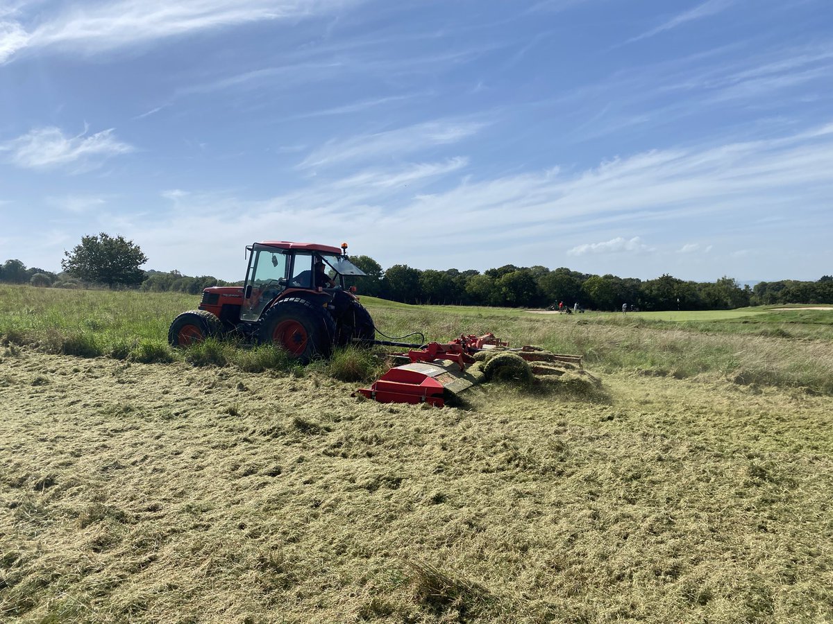 Andy George tweet media