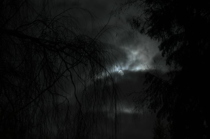 Atmosphericblck's tweet photo. https://t.co/Lo73GeExQe