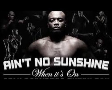 José Louis tweet media