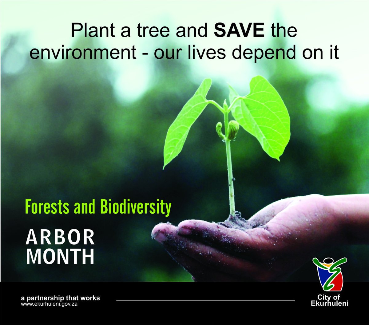 City_Ekurhuleni's tweet image. 🌳 Planting Trees: Countless Benefits! 🍃 Enhancing soil quality, water retention, reducing stress, and offering sanctuary to wildlife are just a few perks of tree planting. Let&apos;s nurture nature and reap the rewards together! 🌿🏞️ #PlantATree #ArborWeek