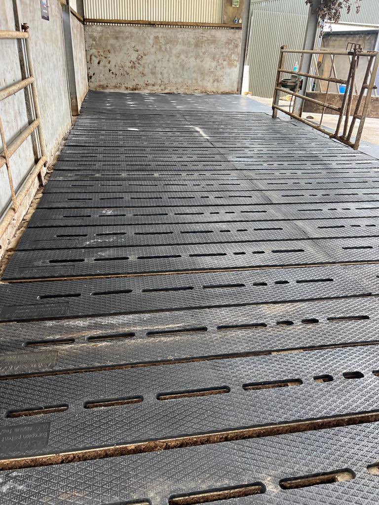 𝗔𝗿𝗲 𝗬𝗼𝘂𝗿 𝗖𝗼𝘄𝘀 𝗪𝗶𝗻𝘁𝗲𝗿 𝗥𝗲𝗮𝗱𝘆? 🐂

Our SR Slat Mats enhance the comfort, welfare &amp; performance of livestock housed on concrete slats - they also come with a 5 year warranty✅

Send us a DM to enquire or call us on +353 9096 43344 ☎️