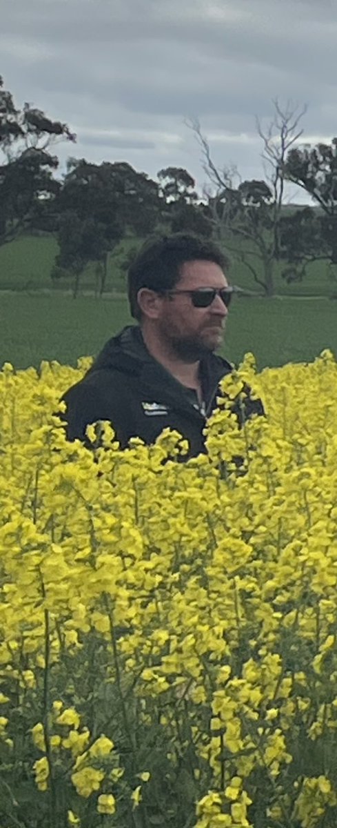 Jade Clark tweet media