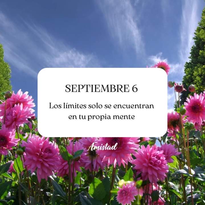 𝐩𝐲_𝑯𝒖𝒈𝒐 (@victorr74650566) on Twitter photo 