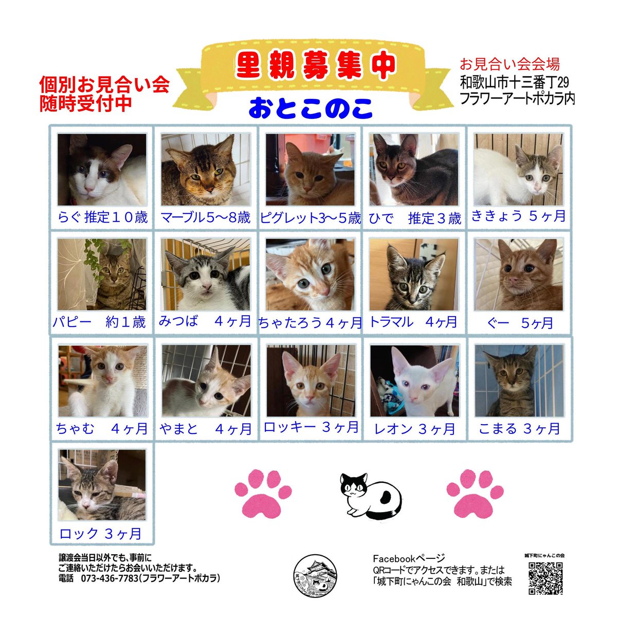 nyankonokai1's tweet photo. ヤバイ💦
人なれ抜群の超かわいい子猫たちが大勢いるのに
里親へのお申し込みがピタッととまってる

リポストで応援してほしい　誰かの目にとまってー
https://t.co/XN6fE9VPmb https://t.co/vVhRe4rZo1