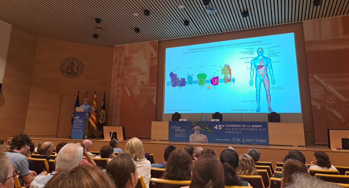 CarlosMYruela's tweet photo. First congress in Spain (about time...)! @SEBBM_es annual meeting, conveniently organized in Zaragoza 🎯.
Come check my poster tomorrow if you want to learn about our development of #sirtuin sensors 🚥.
#45congresoSEBBM https://t.co/uXYolZ15QP