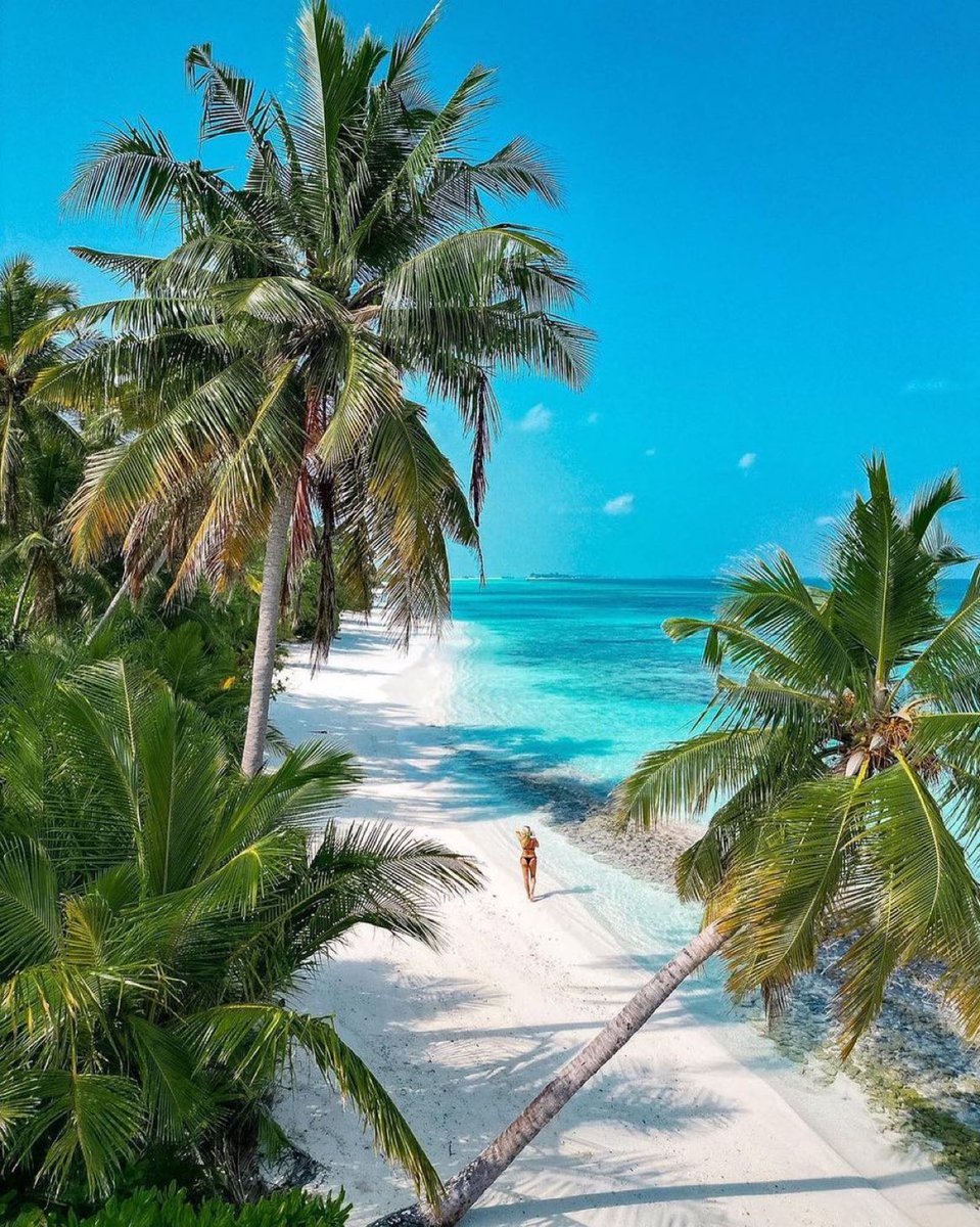 Paradise in Maldives.