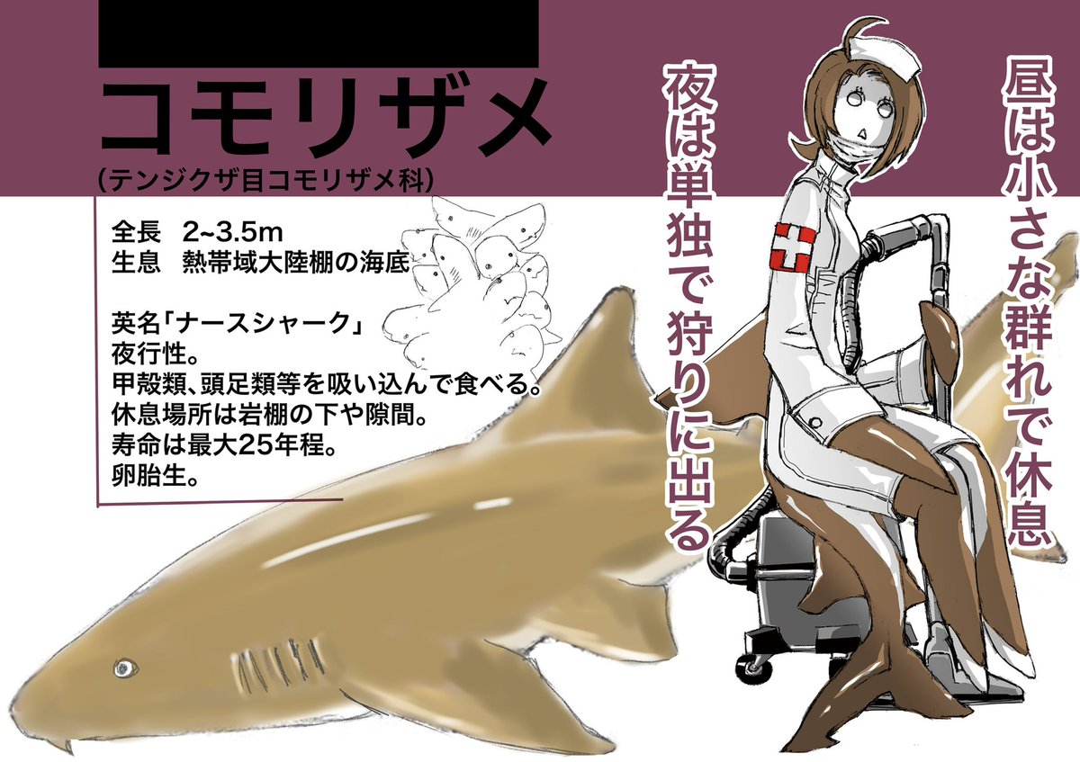 コモリザメ
#サメ軍擬人化
#サメ 