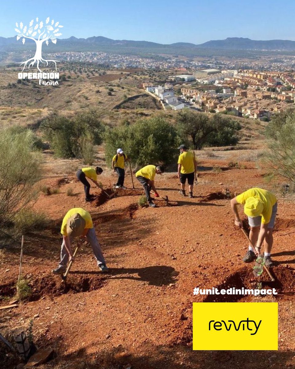 operacionencina's tweet photo. (🇪🇸👇🏼) Yesterday we did some maintenance work in our #reforestation with @RevvityInc #granada 
Thank you so much for your help #unitedinimpact 
Ayer realizamos trabajos de mantenimiento en nuestra #reforestacion con el equipo de #revvity. Muchísimas Gracias por vuestra ayuda https://t.co/lusjDVLItV