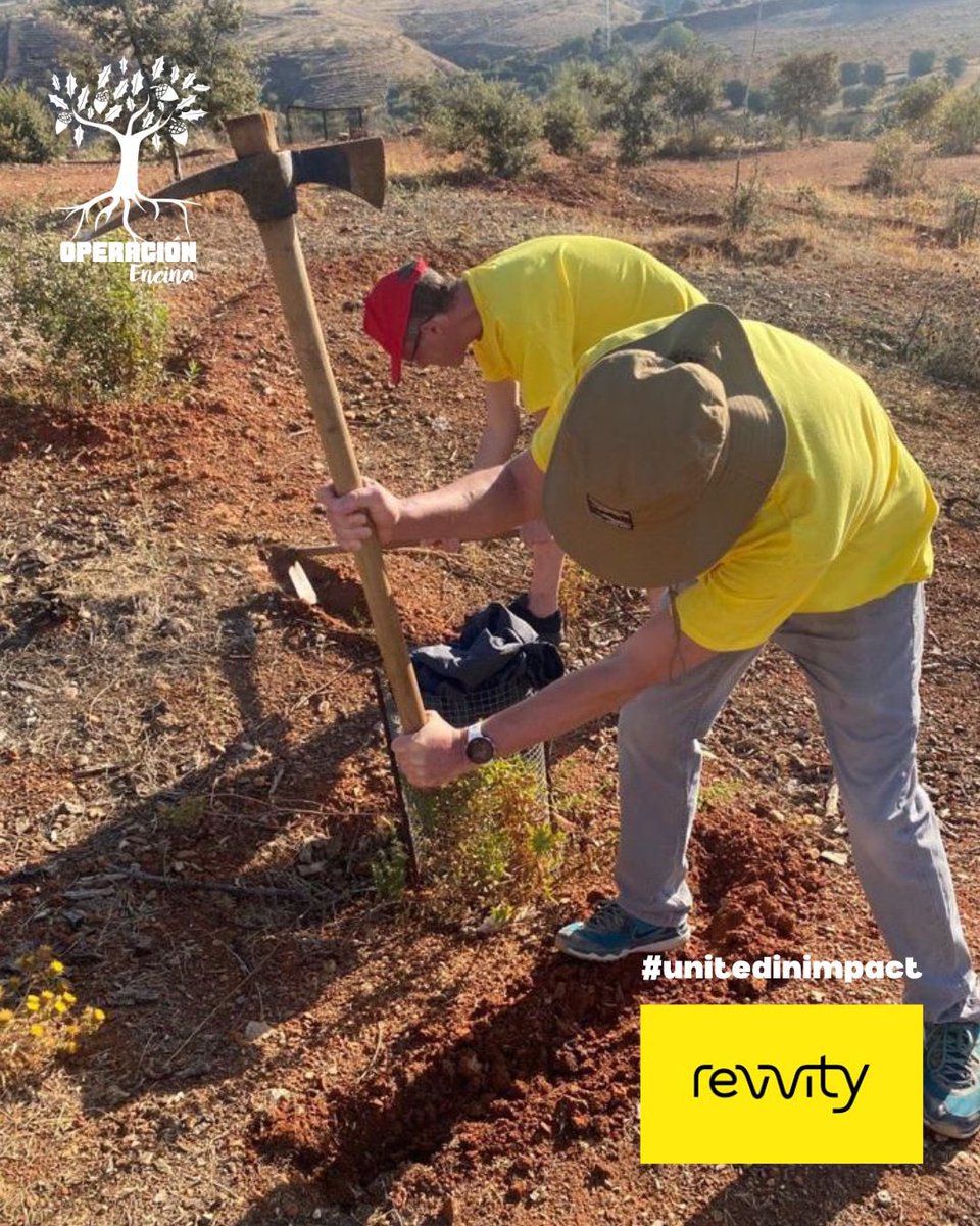 operacionencina's tweet photo. (🇪🇸👇🏼) Yesterday we did some maintenance work in our #reforestation with @RevvityInc #granada 
Thank you so much for your help #unitedinimpact 
Ayer realizamos trabajos de mantenimiento en nuestra #reforestacion con el equipo de #revvity. Muchísimas Gracias por vuestra ayuda https://t.co/lusjDVLItV