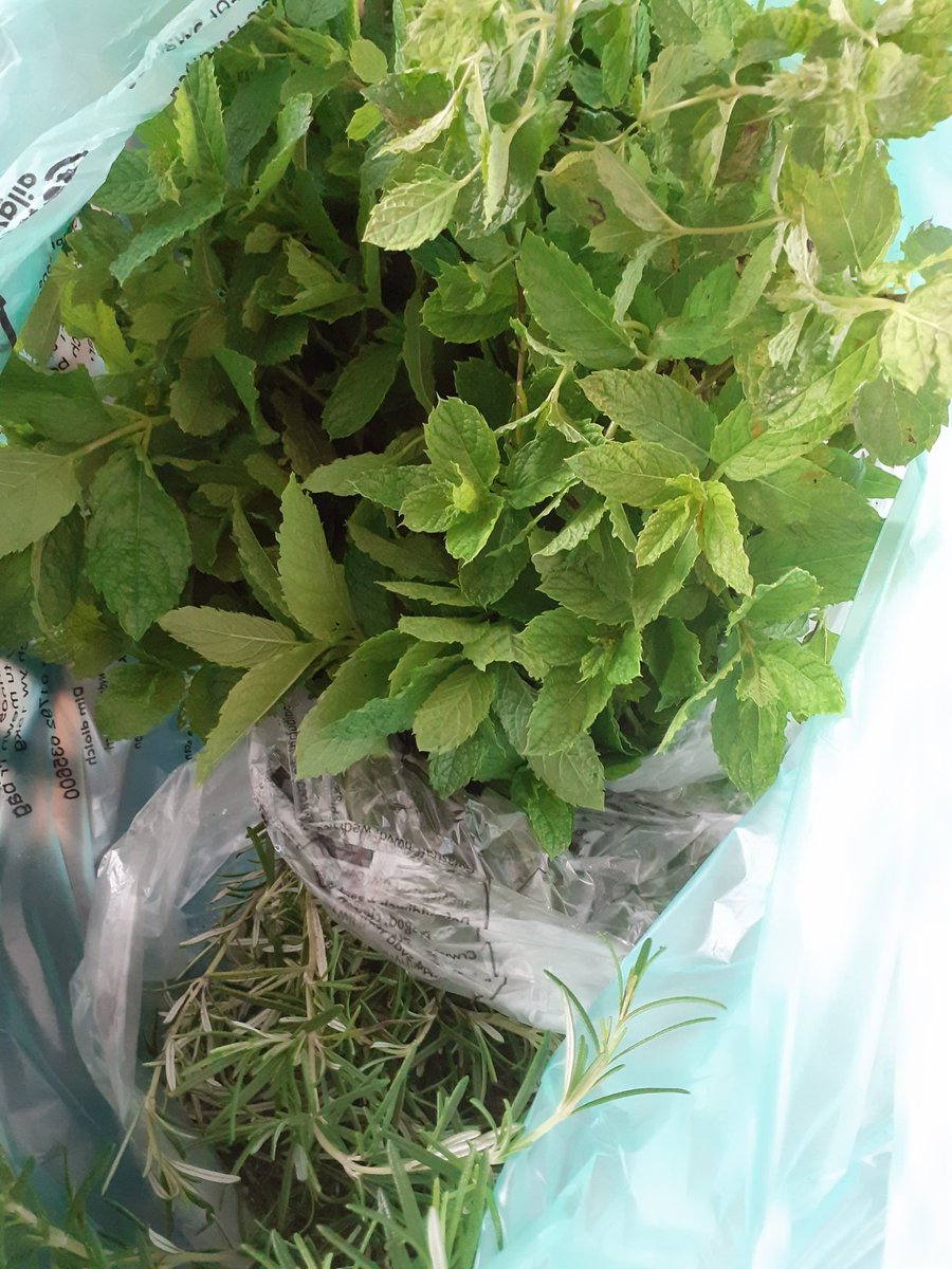 Lots of colourful fruits and vegetables available today, including locally grown apples and herbs that were donated by #HomeGrowers!

🫑🍏🍓🥦🥬🍅 

Open 12.30-2.30pm, minimum £2 donation. 

#HereForSwansea
#Sustainability 
#EatWell 
#ZeroWaste 
#CommunityFridge
