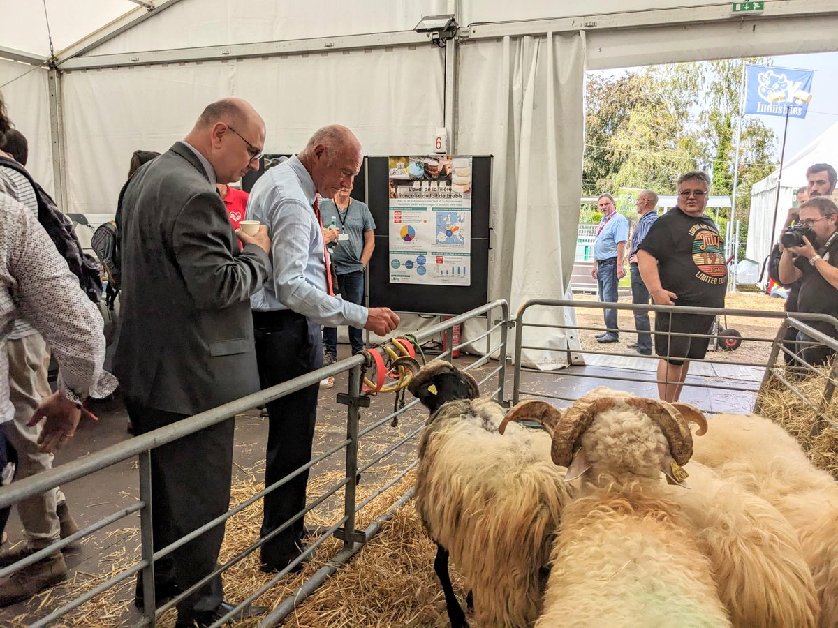 NvelleAquitaine's tweet photo. [#Direct] @al_rousset présent à #TechOvin2023 pour soutenir la filière #Elevage en #NouvelleAquitaine 🐏

💡#BonASavoir : la Région étend son dispositif d'aides à l'installation/reprise d'exploitation : https://t.co/MTuxLnnXSN

#agriculture #TechOvin @Interbevna @Agri_Aquitaine https://t.co/bxRXFsKLhN