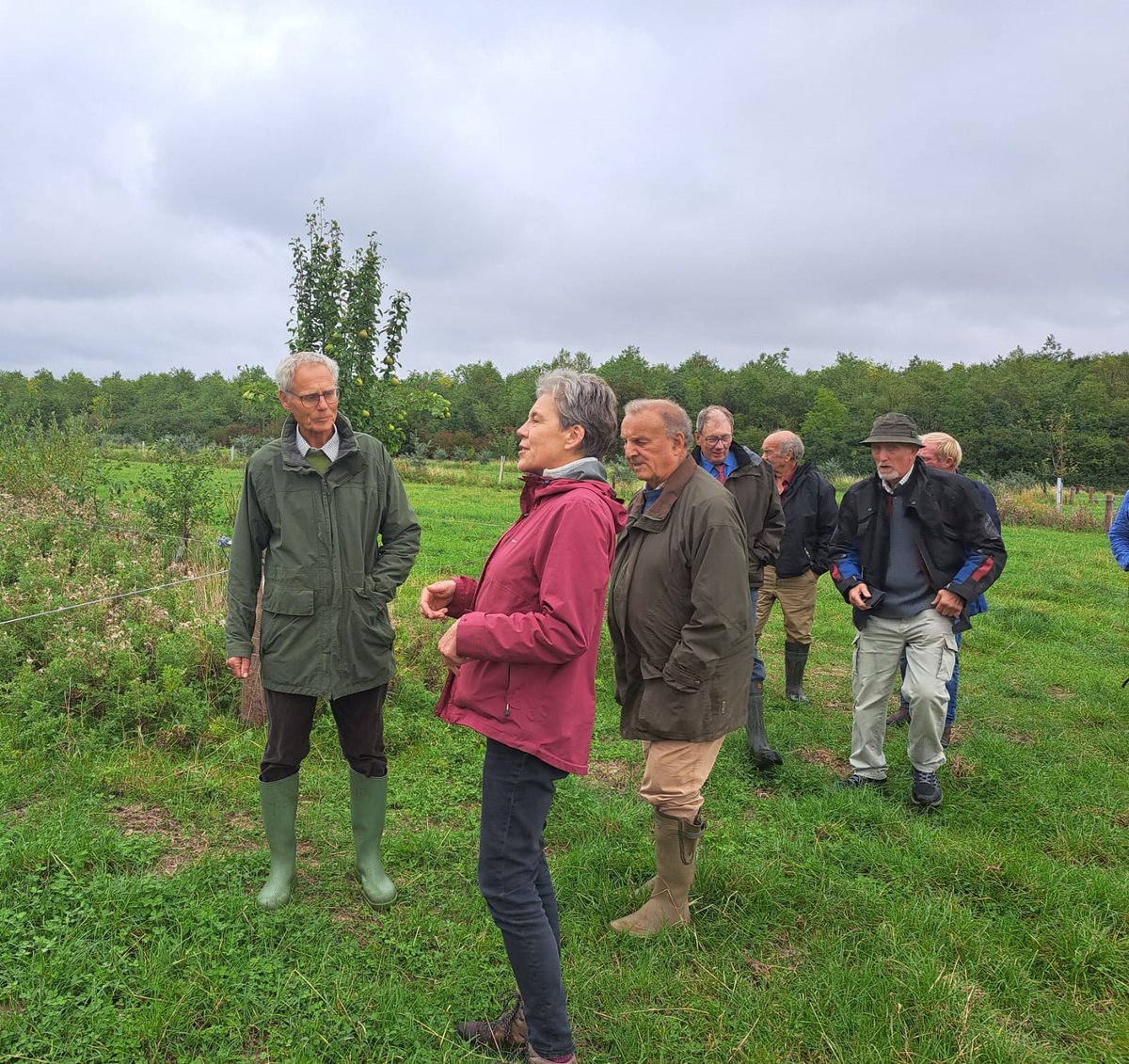 Organic September &amp; <a href="/HelenBOrganic/">Helen Browning's Organic</a> olmc.co.uk/organic-septem…