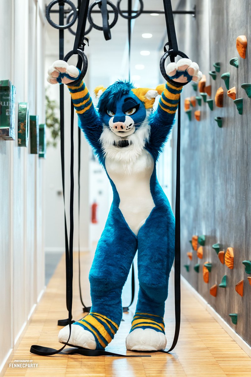 Dawndemonspawn's tweet photo. Do you believe in love at first swing? 😄💘
Wishing you all a fantastic week ahead!

📸 @FENNECPARTY https://t.co/6TenSBUOlX