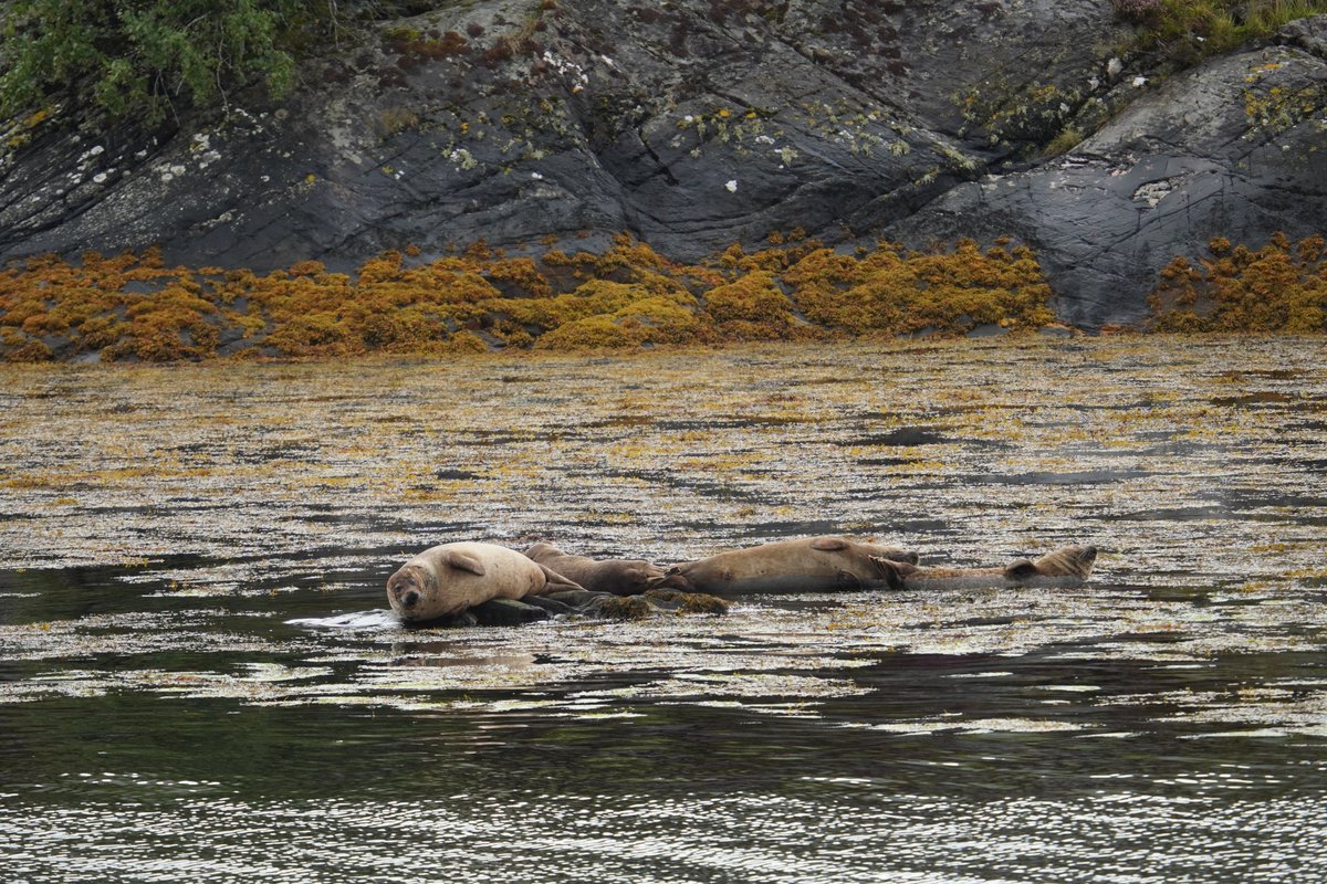 Ruari Saunders Photography tweet media