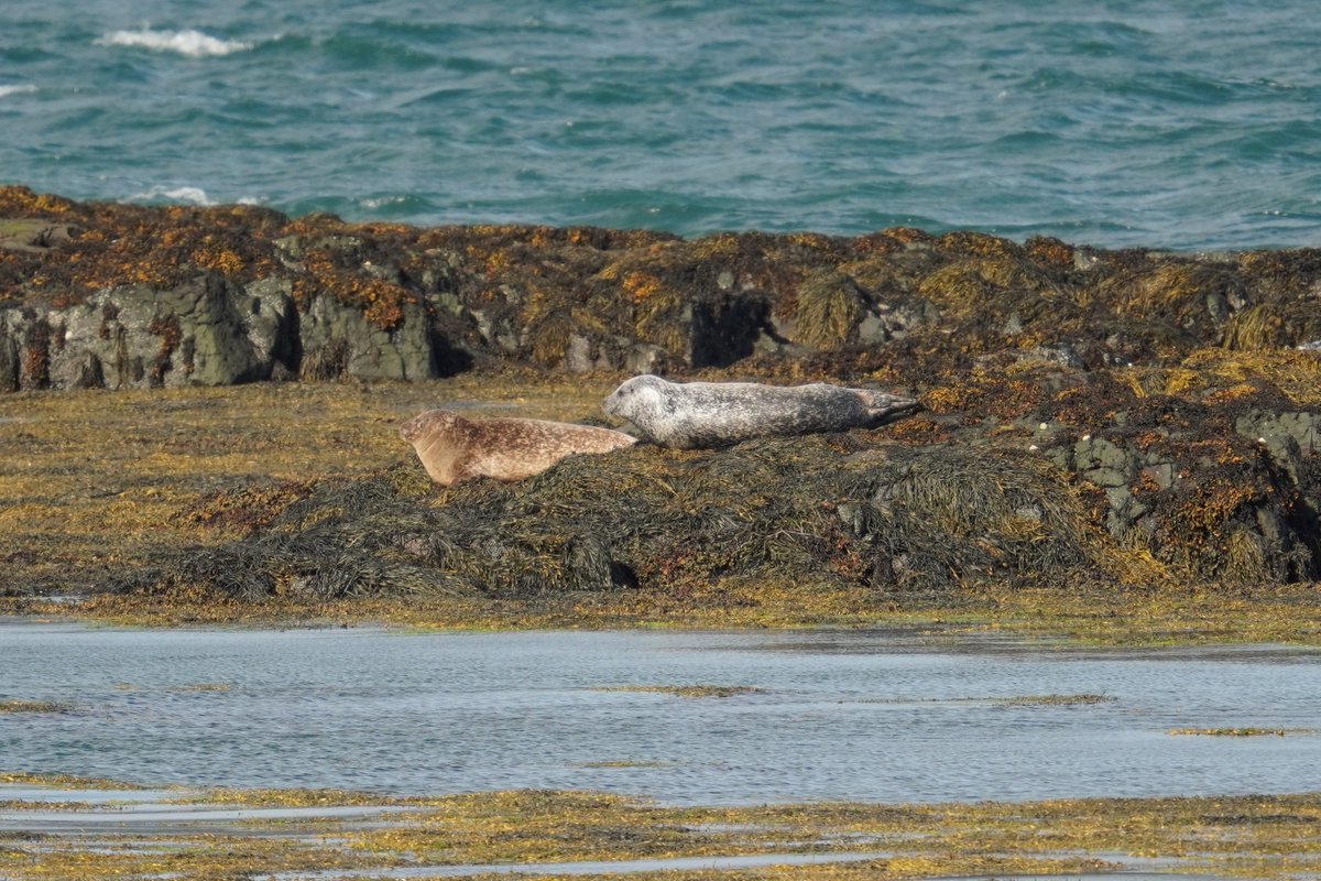 Ruari Saunders Photography tweet media