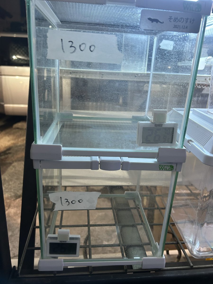 中古用品沢山来ています‼️ 掘り出し物が沢山ありますよ✨ どれも状態
