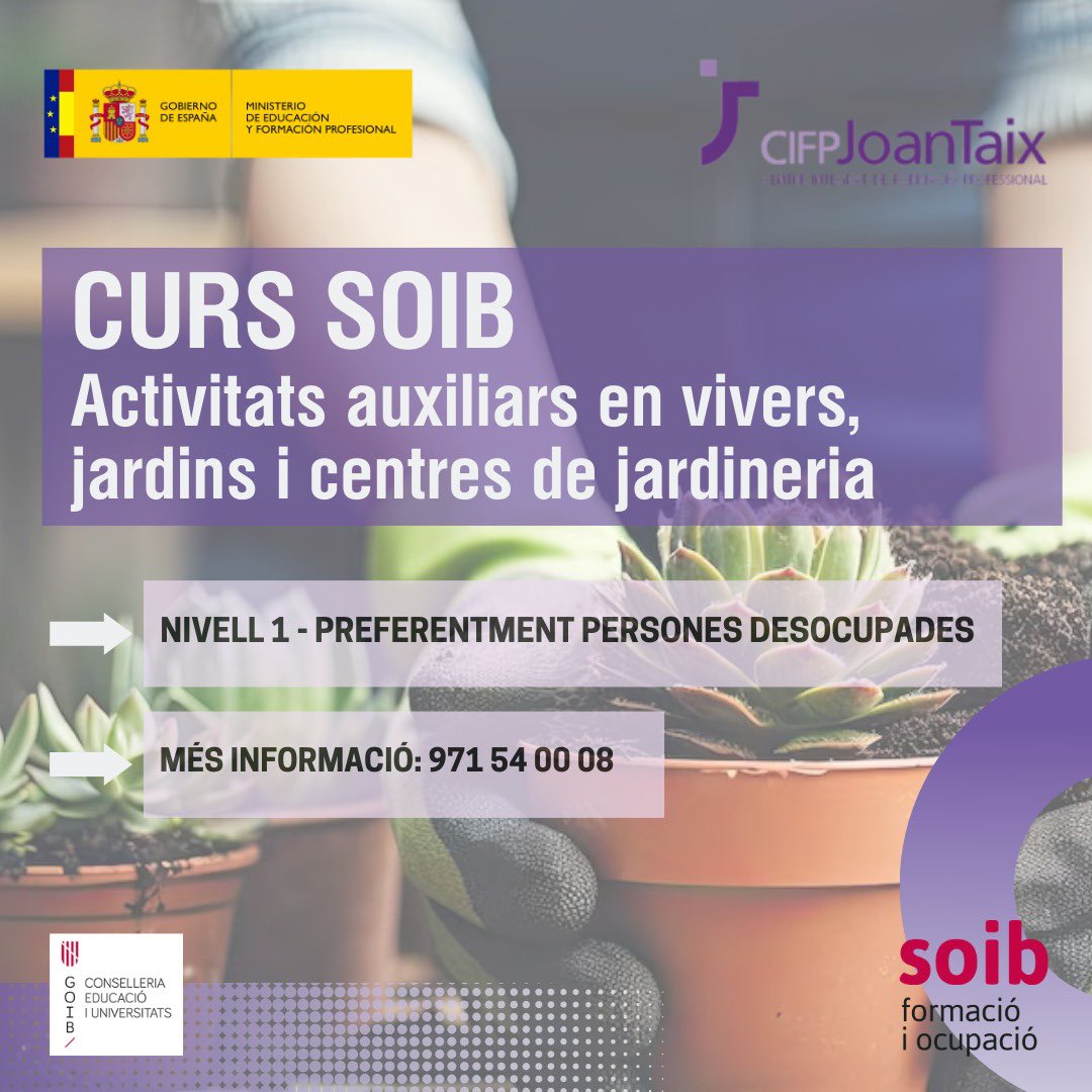 cifpjoantaix's tweet photo. ‼️✍🏼 Termini d'inscripció obert per a cursos del SOIB. 

🔧Operacions de lampisteria i calefacció-climatització domèstica

🪴Activitats auxiliars en vivers, jardins i centres de jardineria

👩‍🏫 Docència per a la formació professional per a l'ocupació

ℹ️ Més informació: 971540008 https://t.co/61KJuDYmxQ