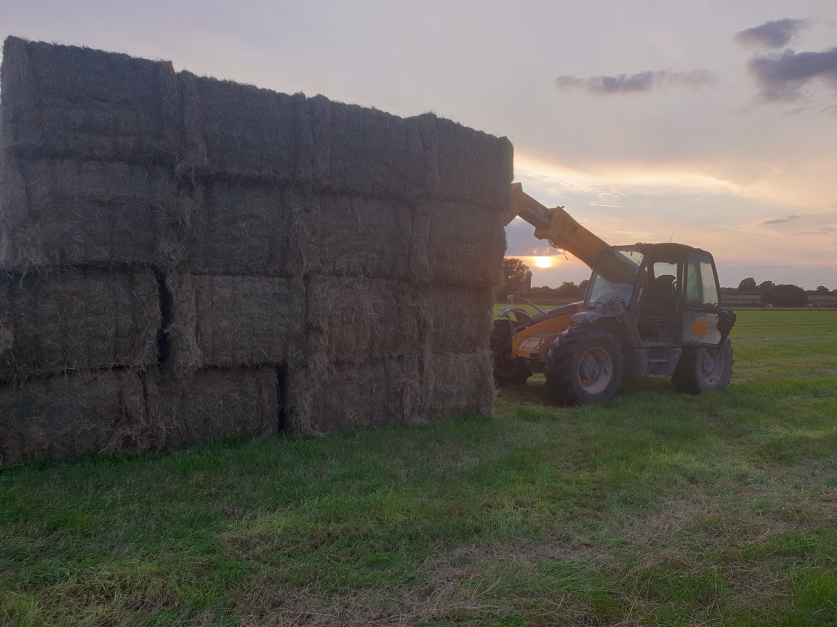 📷📷 The first week in September must have seen more hay made than the whole of July.
Hay rowed up before baling and then stacking to beat the forecast rain.