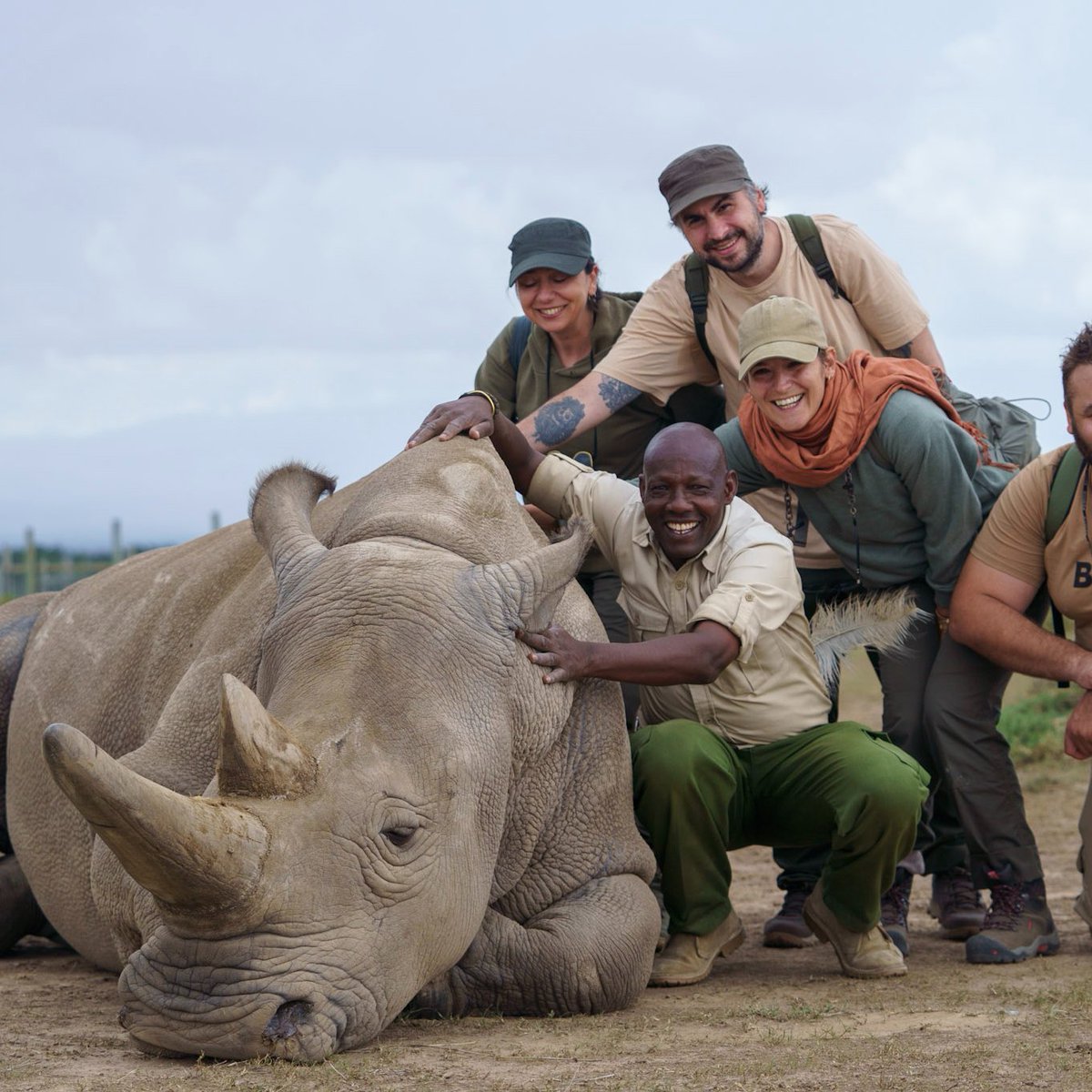 HelpingRhinos's tweet photo. LOT #9 - 1 Wk Immersive Conservation Experience for 2
This is a great chance to learn how @olpejeta works. Learn about caring for endangered species, how conservation agriculture works, wildlife research & monitoring, & how to run a K-9 #AntiPoachingUnit
https://t.co/WbasjlXN8c https://t.co/dWiSKtEW0q