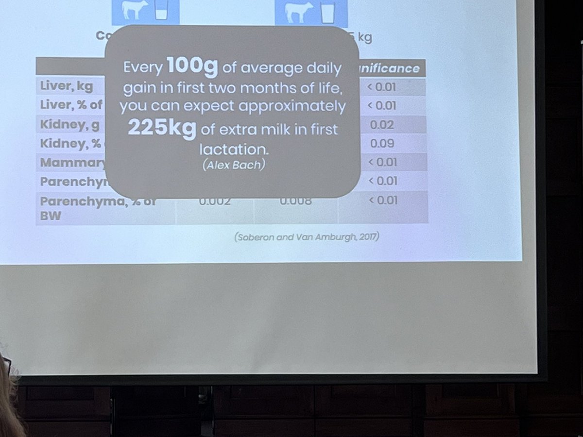 Rumitechs tweet media