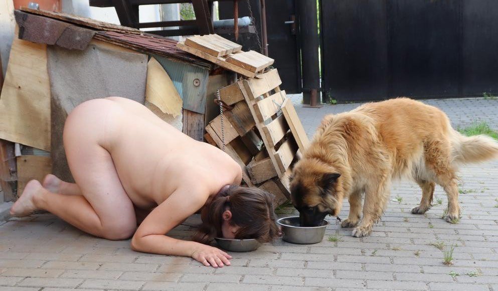 pupufiction's tweet photo. 看圖說故事
嫁給公狗1個月後的蕾妮亞，如今已經適應犬的生活了，自從開放女性與公狗結婚後，已經有不少女性自願嫁給公狗，並被當成犬隻飼養。已婚的女人也可以選擇嫁給公狗，並讓原本的丈夫迎娶新妻，這已經成為一種風氣了！ https://t.co/yajW9kfTOc