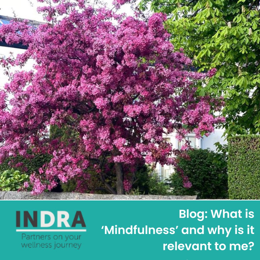 What is ‘Mindfulness’ and why is it relevant to me? by Nicki Chandraraj

Read our blog here: 

drindra.co.uk/what-is-mindfu…

#mindfulness #depression #anxiety