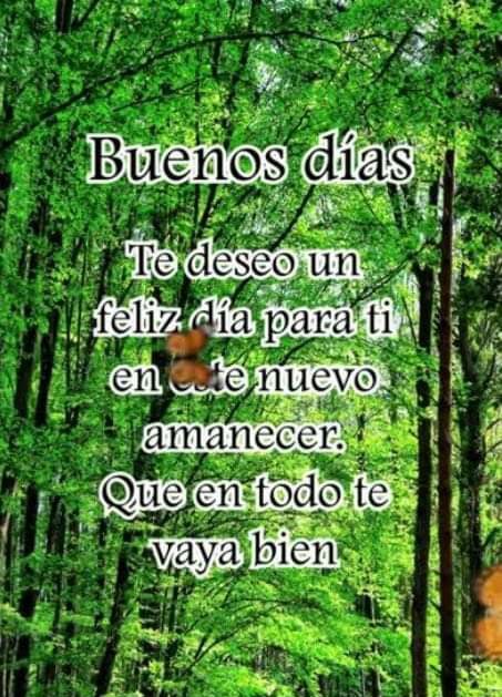 Rosalba Pulgar (@gricelditta) on Twitter photo 