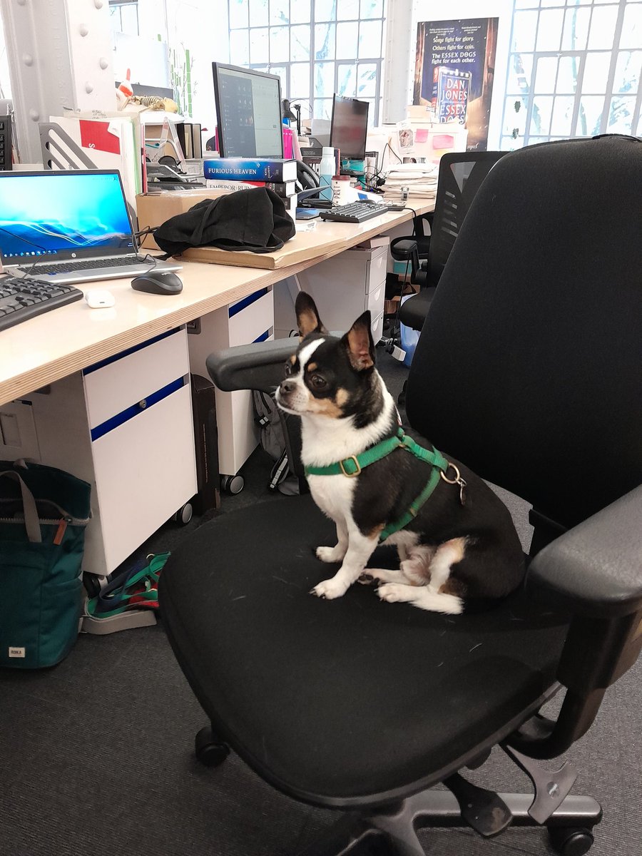 Evelyn Clegg tweet media