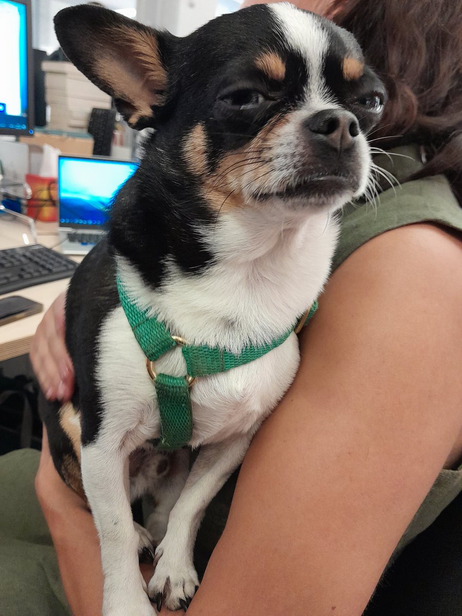 Evelyn Clegg tweet media