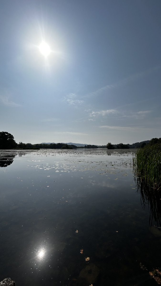 A hot and hazy day again, but we made it to #CarlingwarkLoch at lunchtime for our walk ♥️