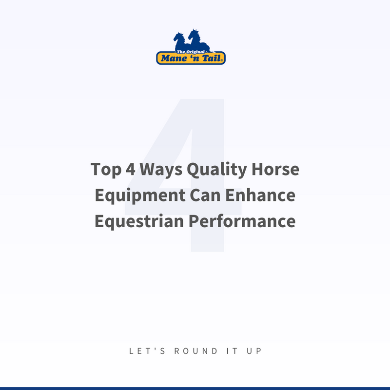 ManeNTail_EU's tweet photo. Unlock your horse's full potential with quality equestrian equipment! 🐎

Invest in quality, see the difference in performance! 

#EquestrianLife #HorseEquipment #PerformanceBoost #InvestInQuality #ShowRingReady #HorseCare #RiderComfort https://t.co/BTMMBtSXox