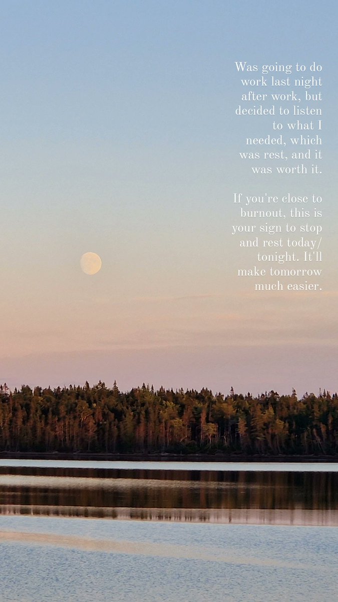 Annie Bowers (@annie__bee) on Twitter photo 