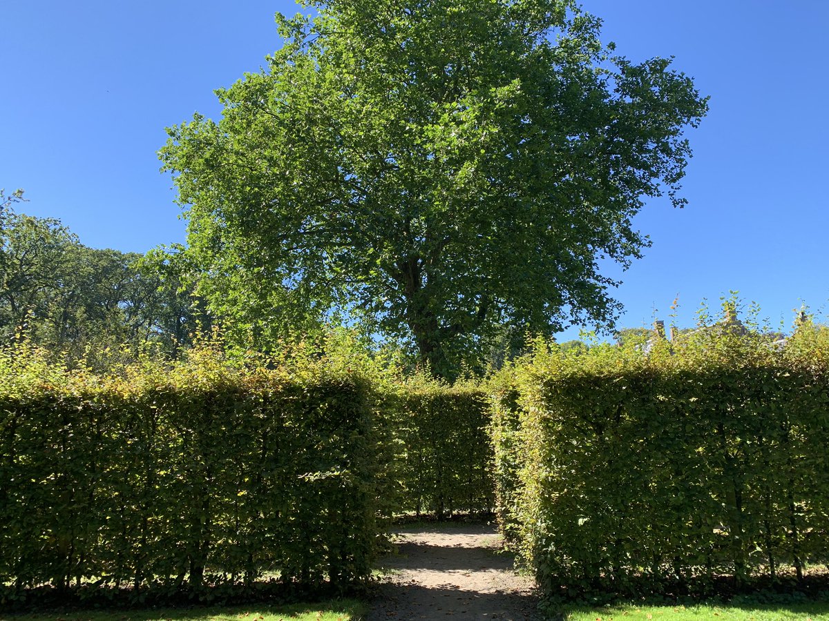 mariacggnoord's tweet photo. Hebt u het ook zo warm? Kom naar de #menkemaborg daar is het heerlijk koel, zowel in het huis als in de tuin. De #doolhof is heerlijk koel om nu te ontdekken. https://t.co/MiyZZvNeF2