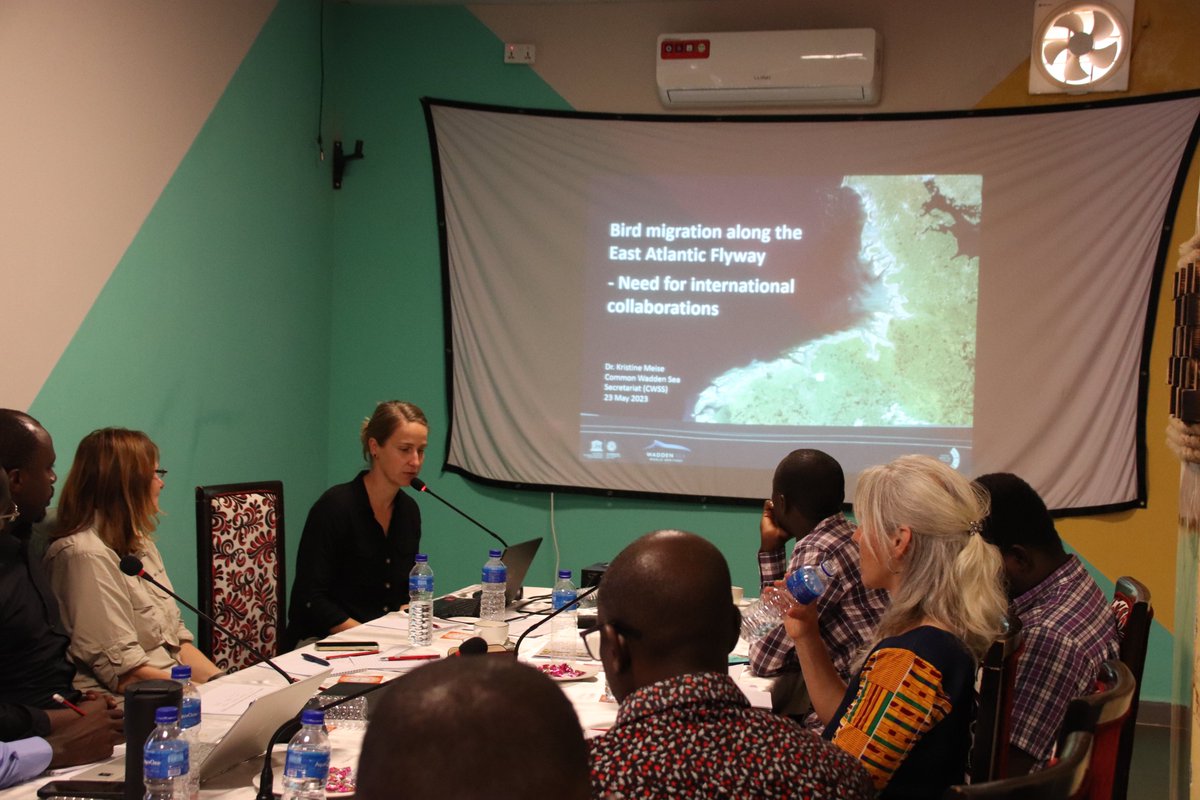 #SEEG report 🇬🇲: 'Our partners presented the Nat. #OneHealth Platform and gave an overview of the latest outbreak of avian #influenza 🪿 + on migration routes of waterbirds + lab diagnostics. We introduced the methodology of the Joint Risk Assessment; it will take place now./5