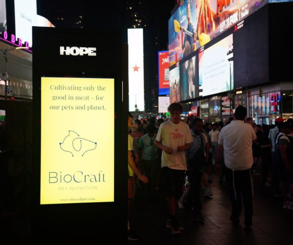 I want to be a part of it / New York, New York 🍎

Thanks to our pals at Draper Associates and HOPE Hydration for spreading the news at Times Square about BioCraft's vision of a cruelty-free future for pet food. 🤗

#petfood #newyork #timessquar